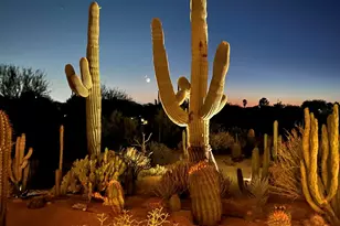 31221 N 61st St, Cave Creek, AZ 85331 - Photo 3