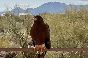 13906 E Montello Rd, Scottsdale, AZ 85262 - Photo 95