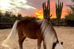 13906 E Montello Rd, Scottsdale, AZ 85262 - Photo 79