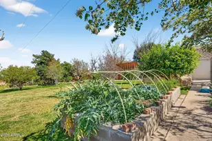 1105 N Delmar St, Mesa, AZ 85203 - Photo 49