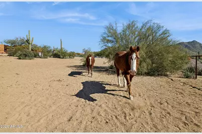 39913 N 26th Street, Cave Creek, AZ 85331 - Photo 61