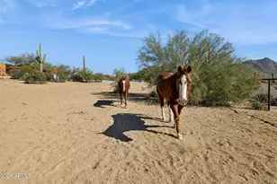 39913 N 26th St, Cave Creek, AZ 85331 - Photo 61