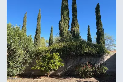 10049 N 25th Place, Phoenix, AZ 85028 - Photo 65