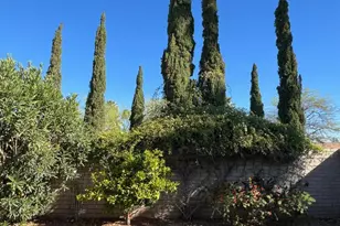 10049 North 25th Pl, Phoenix, AZ 85028 - Photo 65