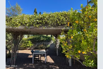 10049 N 25th Place, Phoenix, AZ 85028 - Photo 43