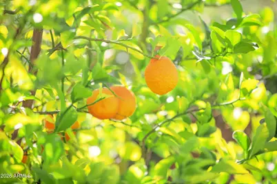 8305 W Tonto Lane, Peoria, AZ 85382 - Photo 45