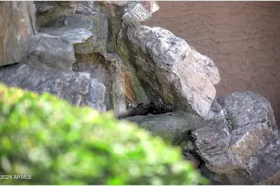 8305 W Tonto Lane, Peoria, AZ 85382 - Photo 39