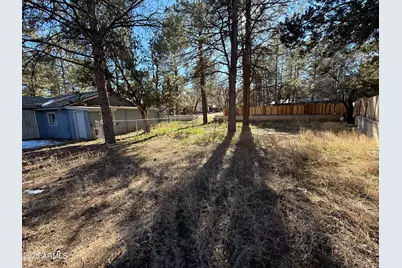 2058 Pinehaven Lane, Overgaard, AZ 85933 - Photo 21