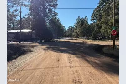 2058 Pinehaven Lane, Overgaard, AZ 85933 - Photo 33