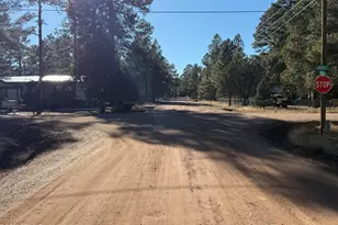 2058 Pinehaven Ln, Overgaard, AZ 85933 - Photo 33