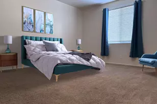 955 E Knox Rd, Chandler, AZ 85225 - Photo 15