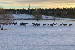 3194 N Riviera Way, Flagstaff, AZ 86004 - Photo 59