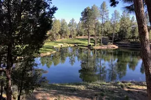 2609 E Pine Island Ln, Payson, AZ 85541 - Photo 57