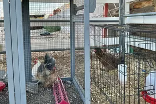 17617 W Rose Ln, Waddell, AZ 85355 - Photo 85