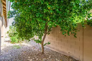 423 E Mead Dr, Chandler, AZ 85249 - Photo 55