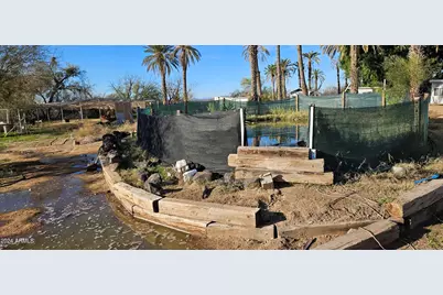 10850 N Avenue 76E --, Dateland, AZ 85333 - Photo 13