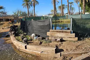 10850 N Ave 76E --, Dateland, AZ 85333 - Photo 13