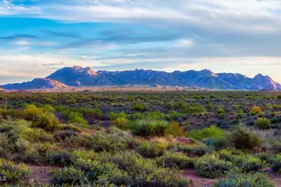 20660 N 40th Street N, Phoenix, AZ 85050 - Photo 3