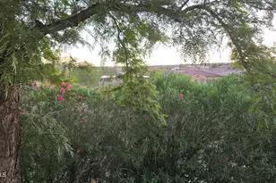 16616 E Palisades Blvd, Fountain Hills, AZ 85268 - Photo 63