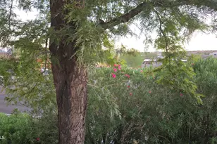 16616 E Palisades Blvd, Fountain Hills, AZ 85268 - Photo 71