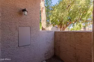 2875 W Highland St, Chandler, AZ 85224 - Photo 53