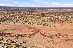 532 N8570 (Moongap) --, Concho, AZ 85924 - Photo 35