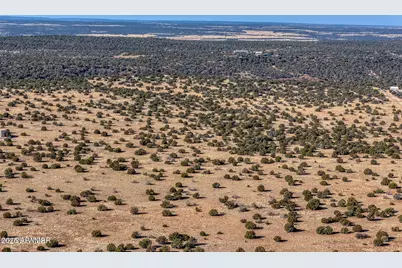 Tbd Shumway Road, Shumway, AZ 85901 - Photo 15
