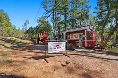 8247 W Ralls Drive, Pine, AZ 85544 - Photo 47