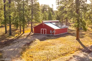 39291 Lake Mary Rd, Happy Jack, AZ 86024 - Photo 27