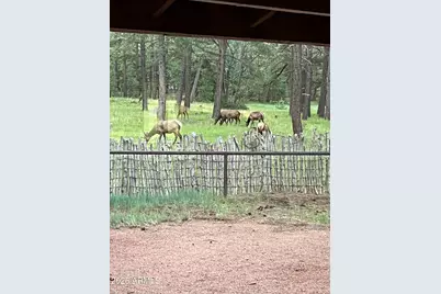 39291 Lake Mary Road, Happy Jack, AZ 86024 - Photo 47