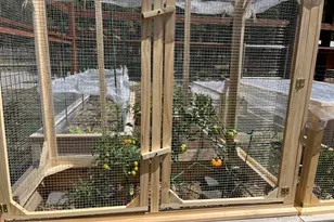 39291 Lake Mary Rd, Happy Jack, AZ 86024 - Photo 37