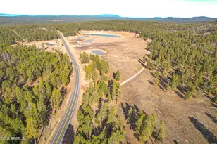 39291 Lake Mary Rd, Happy Jack, AZ 86024 - Photo 51