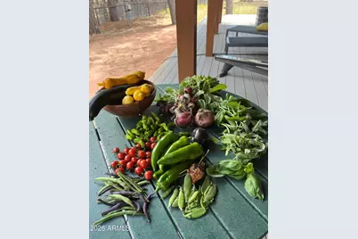 39291 Lake Mary Road, Happy Jack, AZ 86024 - Photo 41