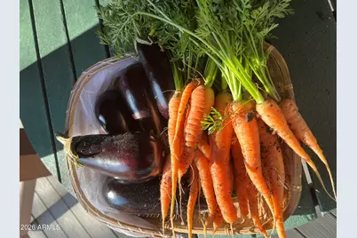 39291 Lake Mary Road, Happy Jack, AZ 86024 - Photo 39