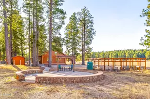 39291 Lake Mary Rd, Happy Jack, AZ 86024 - Photo 31