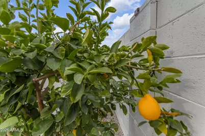 10020 E Talon Avenue, Mesa, AZ 85212 - Photo 87