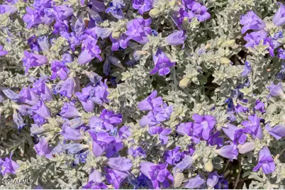 7224 N Lakeside Lane, Paradise Valley, AZ 85253 - Photo 53