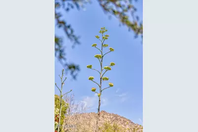 7224 N Lakeside Lane, Paradise Valley, AZ 85253 - Photo 57