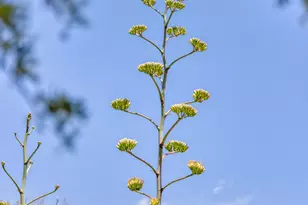 7224 N Lakeside Ln, Paradise Valley, AZ 85253 - Photo 57