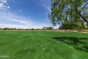 803 E Penny Ln, San Tan Valley, AZ 85140 - Photo 39