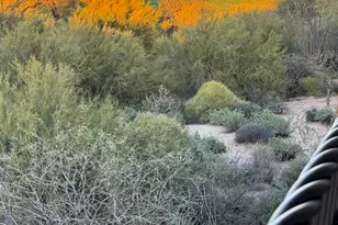 36601 N Mule Train Rd, Carefree, AZ 85377 - Photo 5