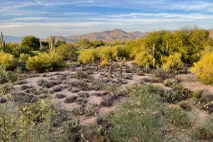 36601 N Mule Train Rd, Carefree, AZ 85377 - Photo 29