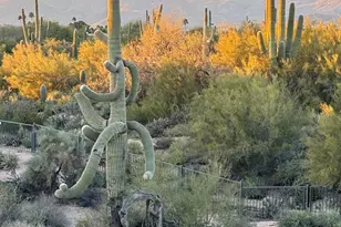 36601 N Mule Train Rd, Carefree, AZ 85377 - Photo 3