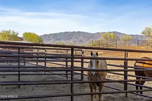 21620 W Buckwheat Ln, Congress, AZ 85332 - Photo 65