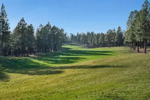 2733 E Byrds View Dr, Flagstaff, AZ 86005 - Photo 15