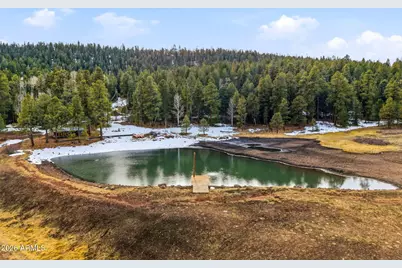 14 County Road N 1332 -- #36, Greer, AZ 85927 - Photo 7