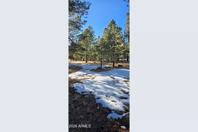 14 County Road N 1332 -- #36, Greer, AZ 85927 - Photo 13