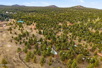14 County Road N 1332 -- #36, Greer, AZ 85927 - Photo 5