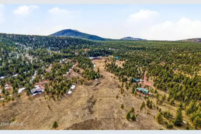 14 County Road N 1332 -- #36, Greer, AZ 85927 - Photo 9