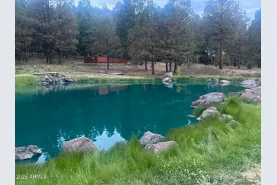 14 County Road N 1332 -- #36, Greer, AZ 85927 - Photo 15
